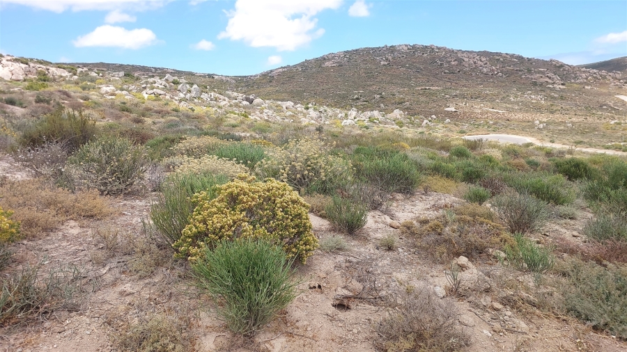 0 Bedroom Property for Sale in St Helena Views Western Cape